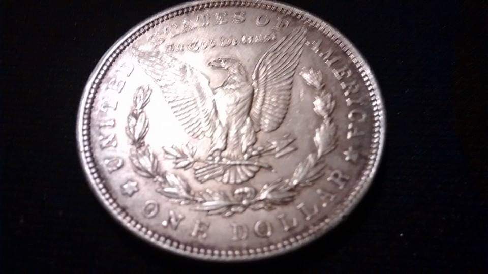 I-Am-New-To-Collecting
